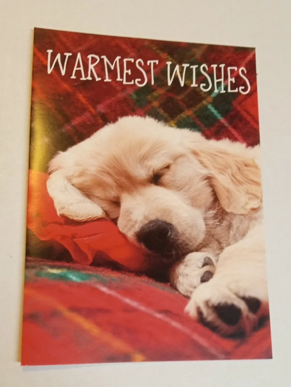 13 Christmas Cards and Envelopes New Featuring A Cute Golden Retriever Puppy